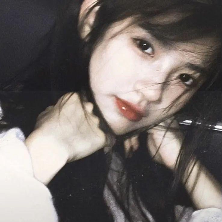 与鲨同泳